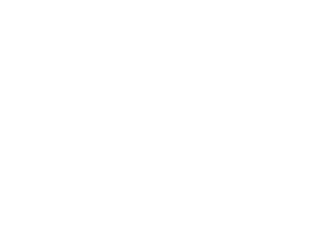 Kennwerte von Gleis und Radsatz
